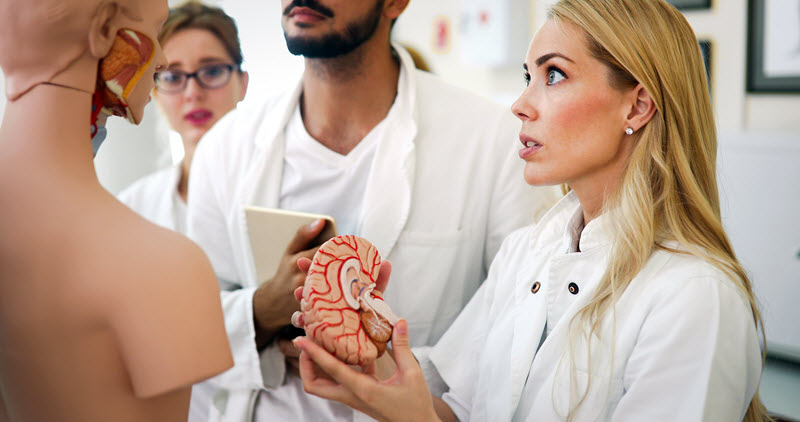 Día Mundial del Cerebro