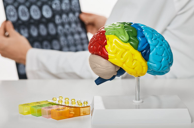 Día Mundial del Cerebro