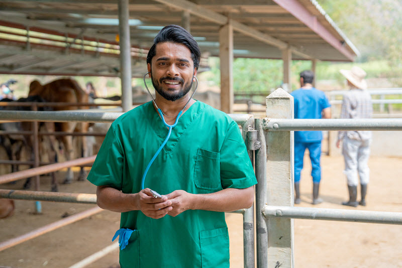 Día Nacional del Médico Veterinario en Venezuela